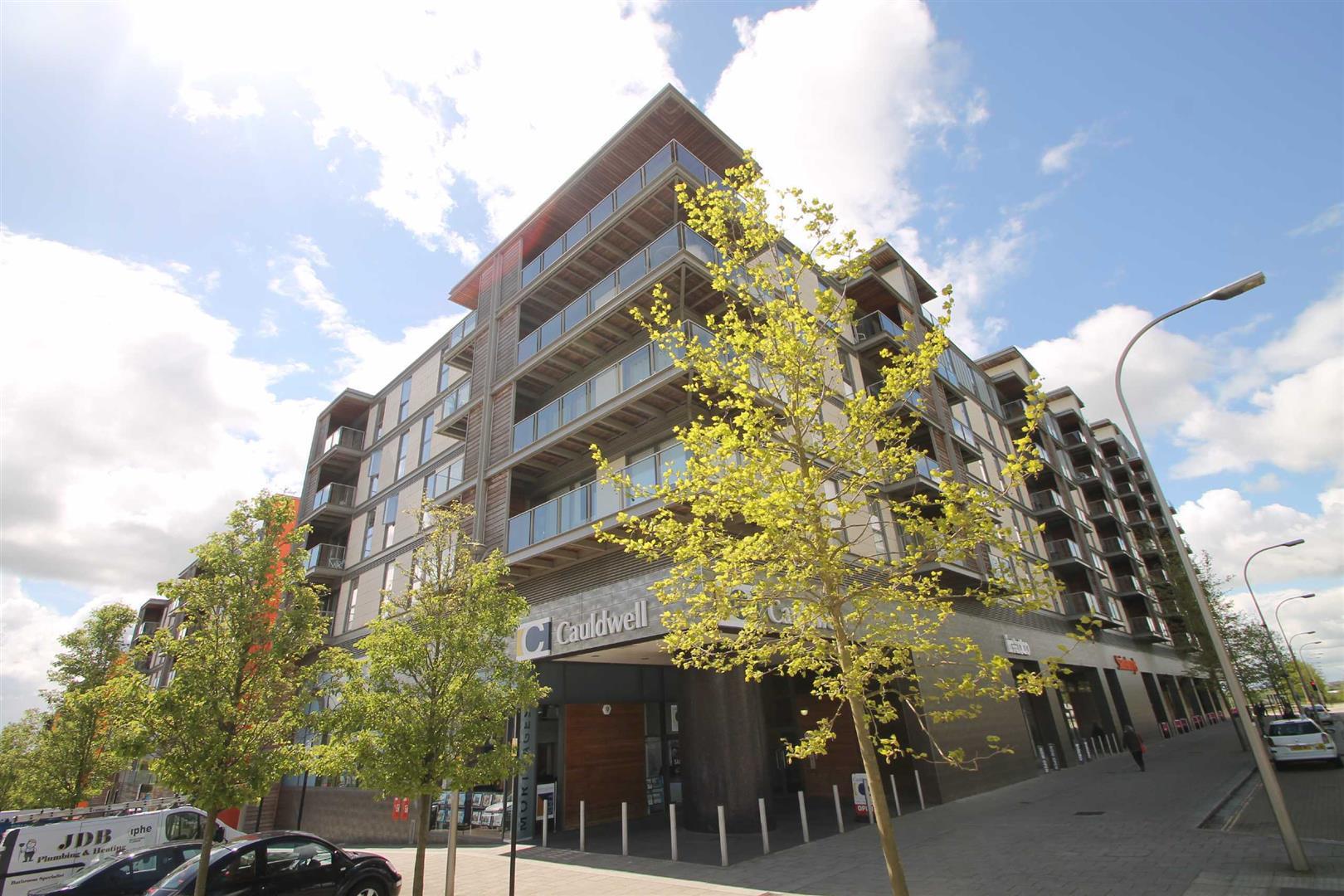 Merrivale Mews, Milton Keynes